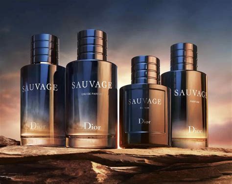 dior sauvage lasting|Dior Sauvage differences.